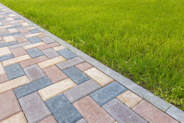 Driveway Repair Near Me in Cannon Falls, MN